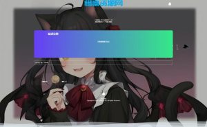 全新Storm Core API管理系统源码 免授权版-惜豪资源网